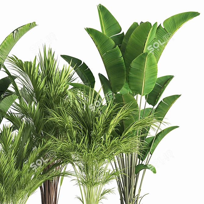 Indoor Oasis: 42-Piece Plant Set 3D model image 4