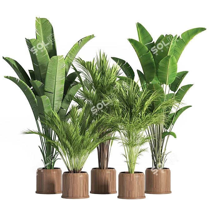 Indoor Oasis: 42-Piece Plant Set 3D model image 7