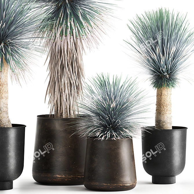 Exotic Metal Plant Collection: Yucca Rostrata, Reclaimed Artizan Iron Coppa Pot 3D model image 2