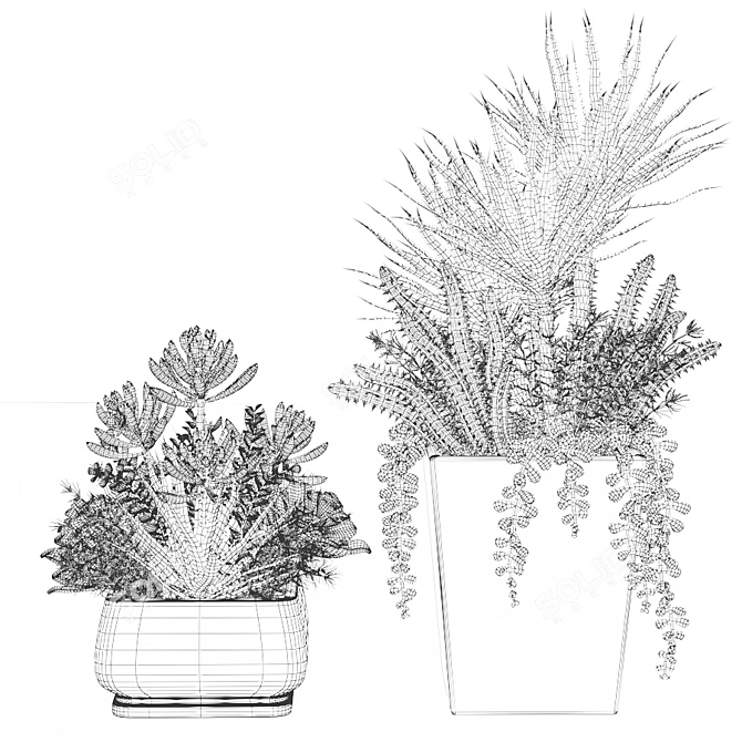 square succulent bouquets in pots 3D model image 3