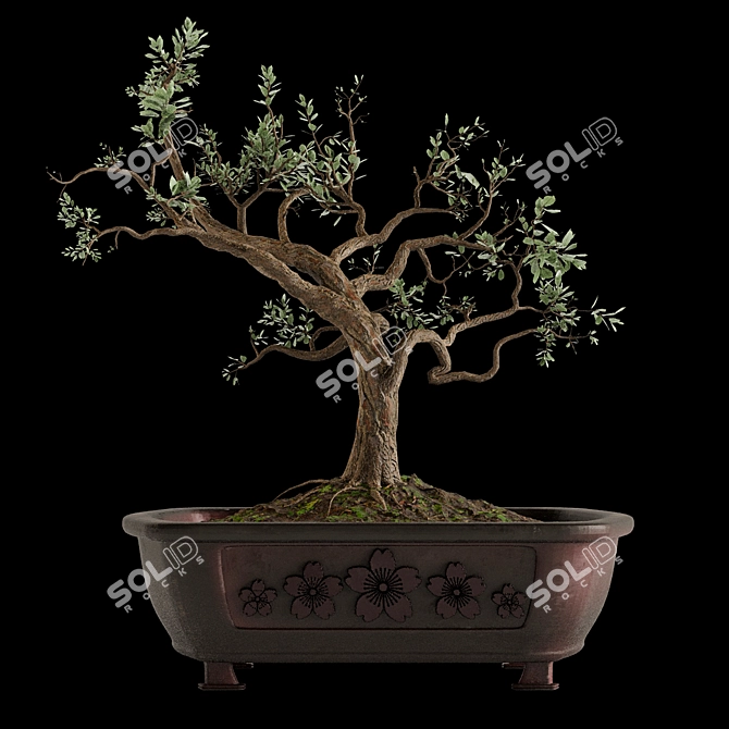 Bonsai Tree Design with Pot 3D model image 1