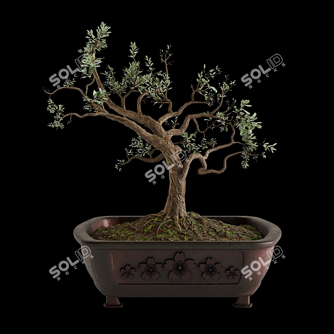Bonsai Tree Design with Pot 3D model image 2
