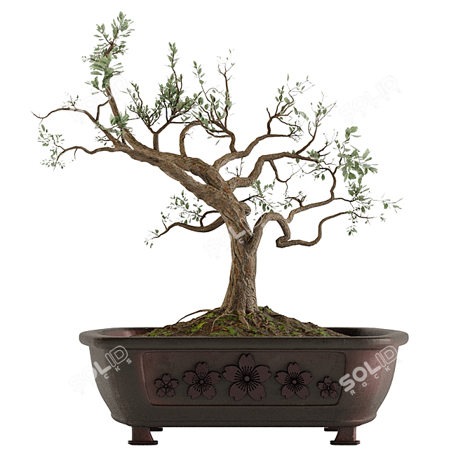 Bonsai Tree Design with Pot 3D model image 4