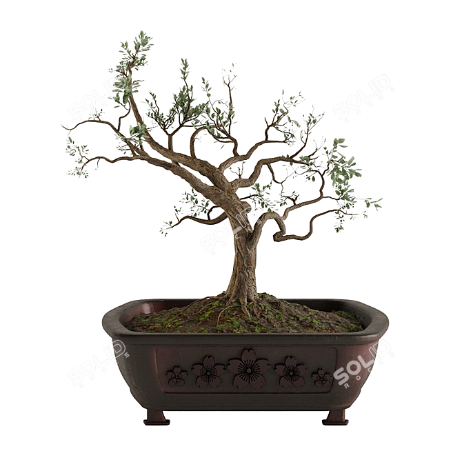 Bonsai Tree Design with Pot 3D model image 5
