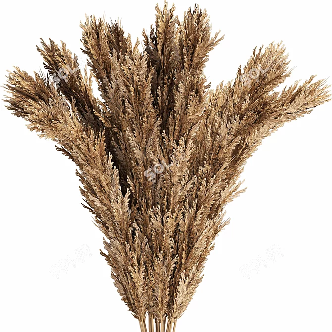 Rustic Wheat Bouquet 3D model image 3