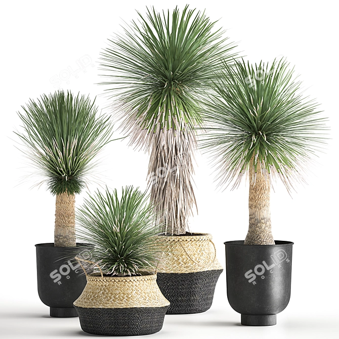 Tropical Plant Collection: Exotic Yucca in Vig Planter 3D model image 7