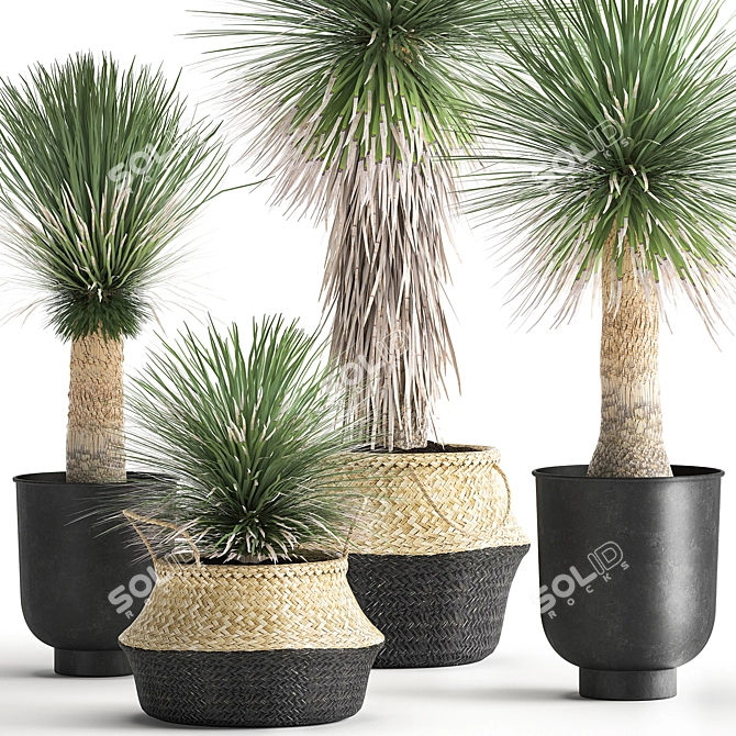 Tropical Plant Collection: Exotic Yucca in Vig Planter 3D model image 1