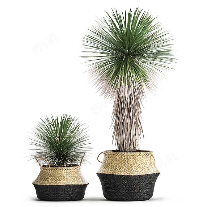 Tropical Plant Collection: Exotic Yucca in Vig Planter 3D model image 2
