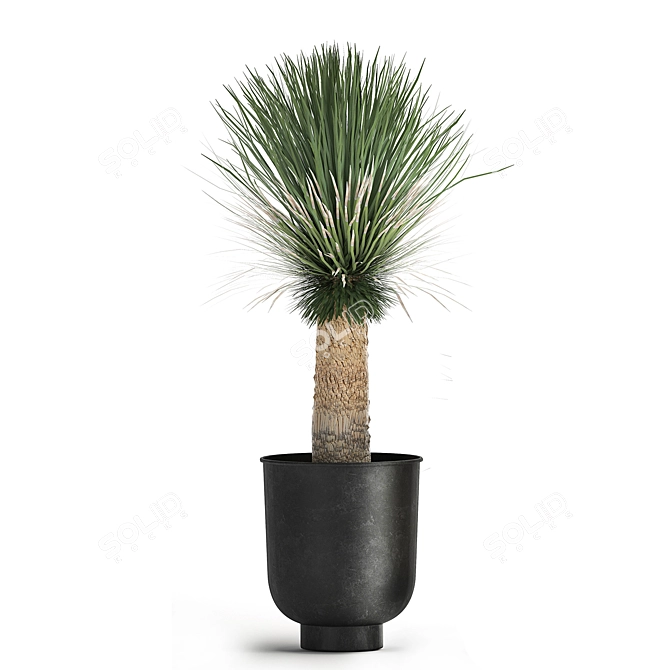 Tropical Plant Collection: Exotic Yucca in Vig Planter 3D model image 4