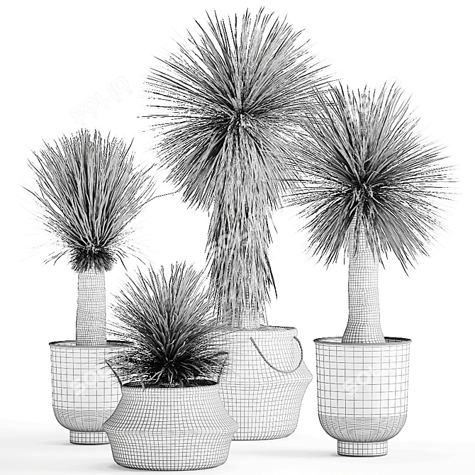 Tropical Plant Collection: Exotic Yucca in Vig Planter 3D model image 6