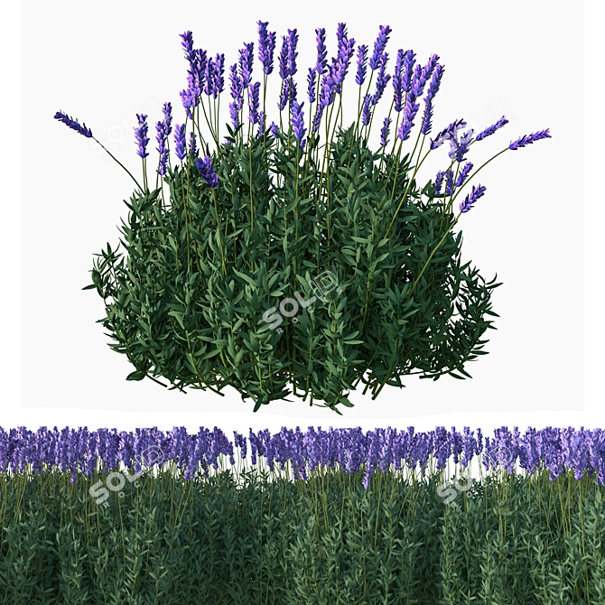 Elegant Lavender Floral Sculpture 3D model image 1
