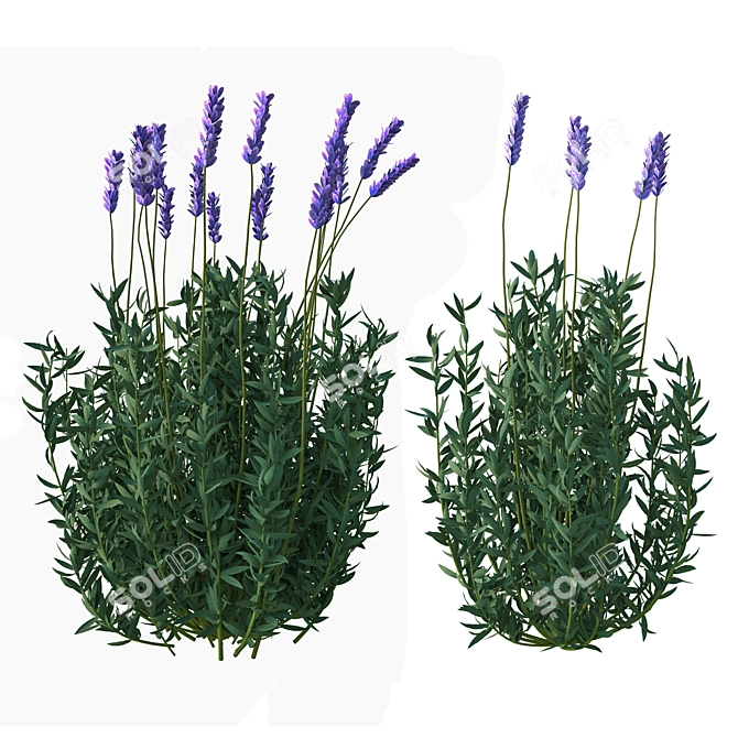 Elegant Lavender Floral Sculpture 3D model image 2