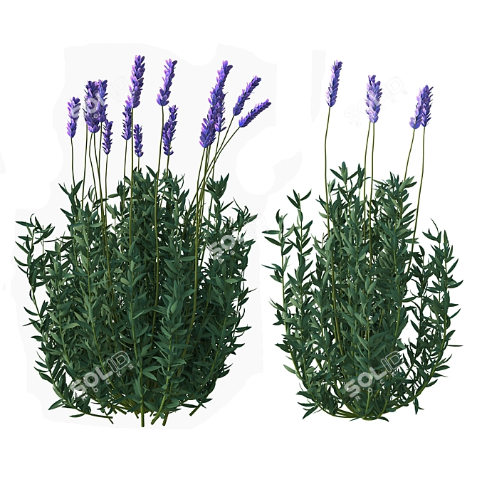 Elegant Lavender Floral Sculpture 3D model image 6