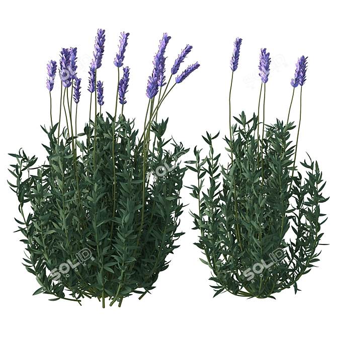 Elegant Lavender Floral Sculpture 3D model image 8