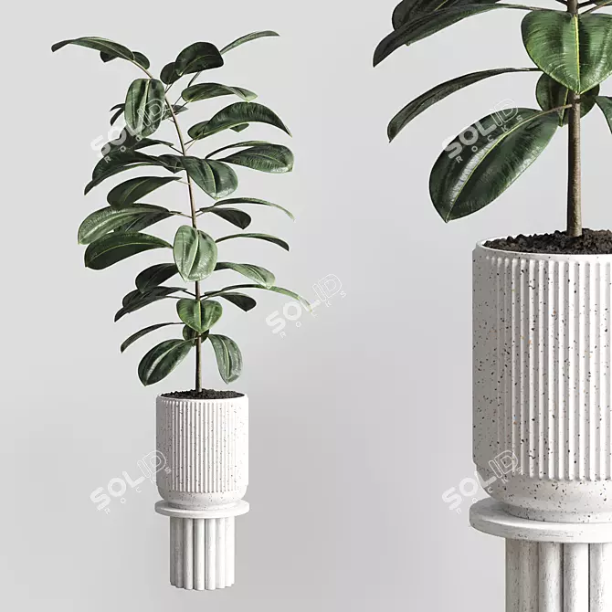  Modern Concrete Indoor Plant Vase 3D model image 1