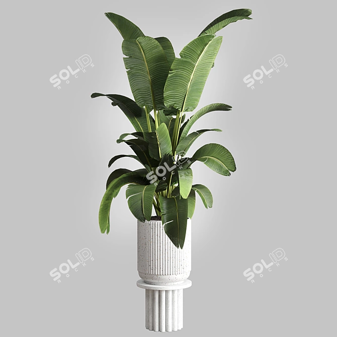 Concrete Vase Indoor Plant 3D model image 1