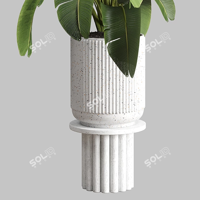 Concrete Vase Indoor Plant 3D model image 2