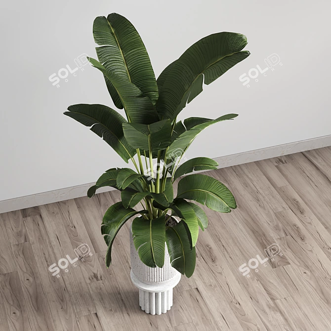 Concrete Vase Indoor Plant 3D model image 4