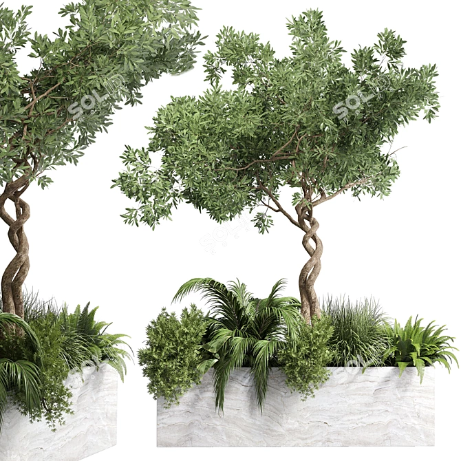 Indoor Plant Collection: 82 Garden Pot Tree Palm 3D model image 1
