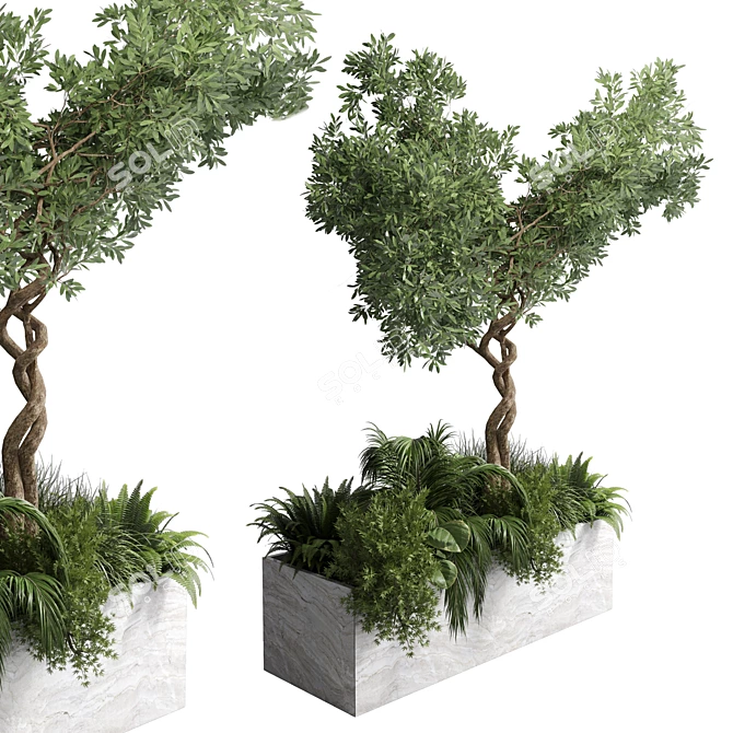 Indoor Plant Collection: 82 Garden Pot Tree Palm 3D model image 2