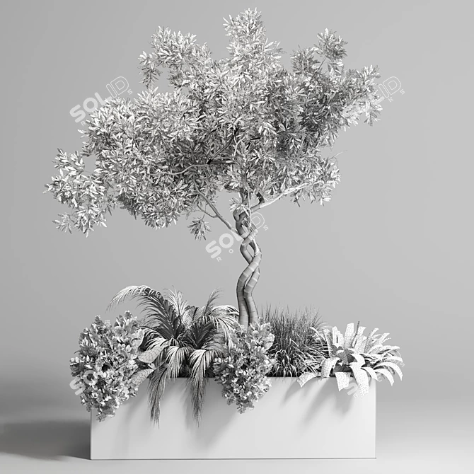Indoor Plant Collection: 82 Garden Pot Tree Palm 3D model image 4