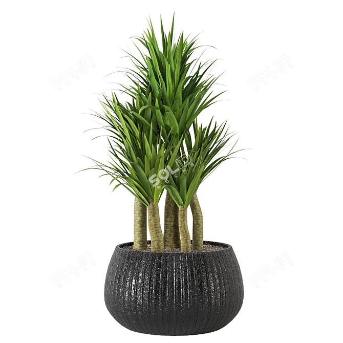 Lush Green Indoor Plants Set 3D model image 1