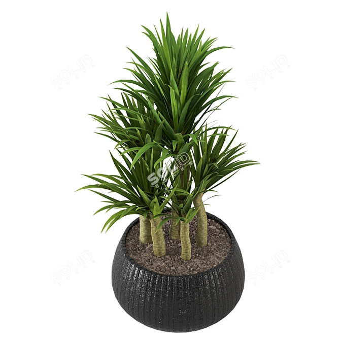 Lush Green Indoor Plants Set 3D model image 2