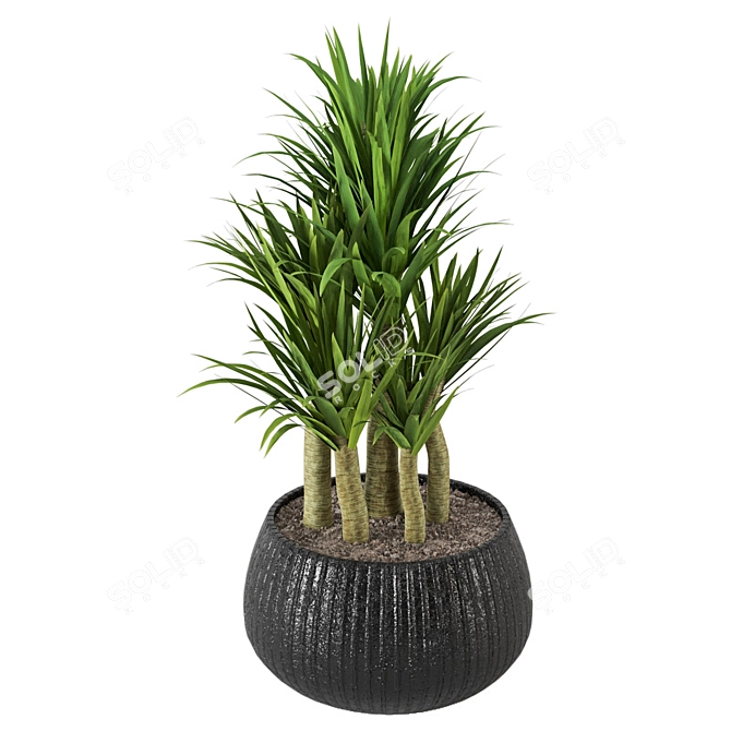 Lush Green Indoor Plants Set 3D model image 3