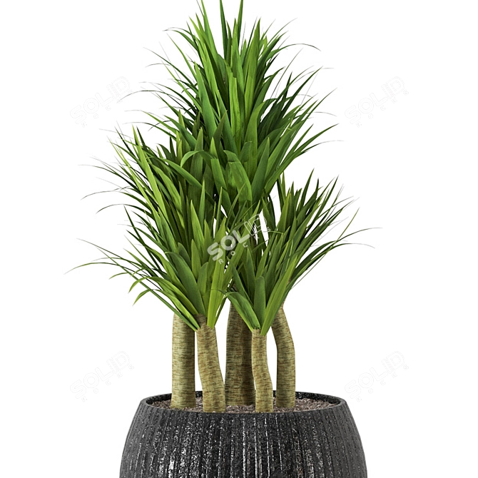 Lush Green Indoor Plants Set 3D model image 4