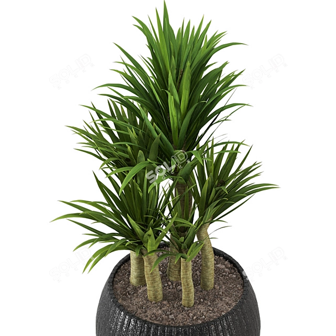 Lush Green Indoor Plants Set 3D model image 5