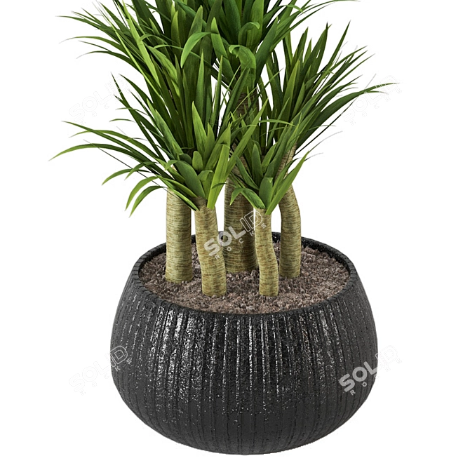 Lush Green Indoor Plants Set 3D model image 6