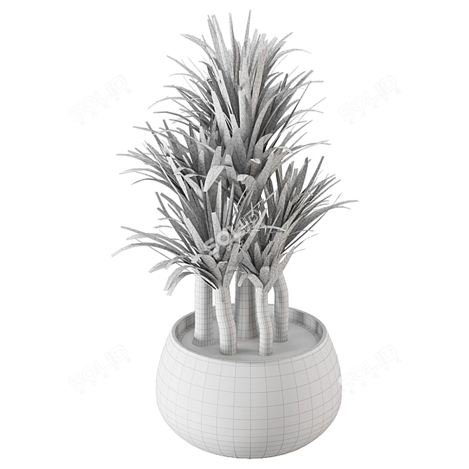 Lush Green Indoor Plants Set 3D model image 7