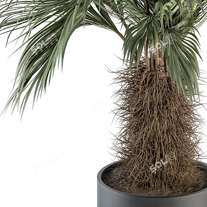 Tropical Delight: Palm Plant Set 3D model image 5