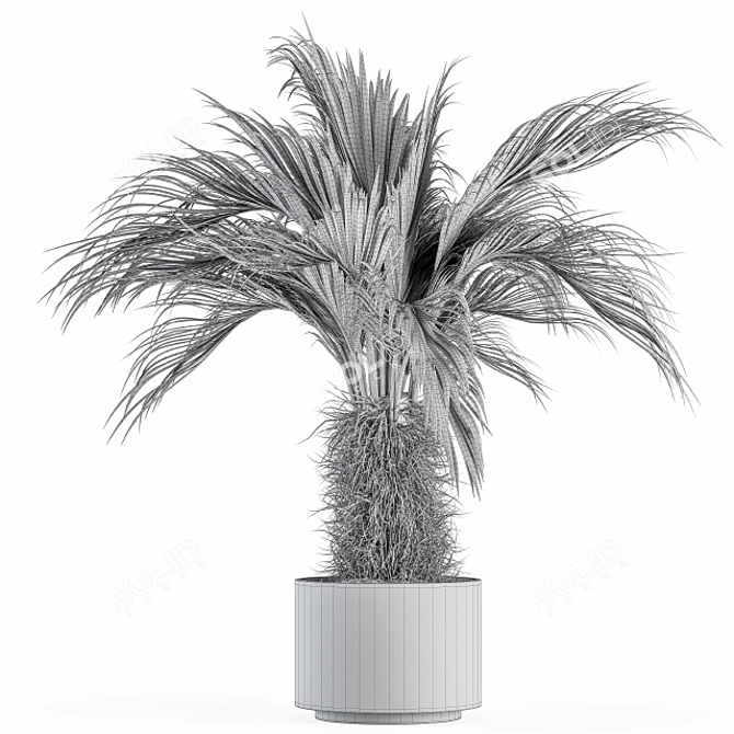 Tropical Delight: Palm Plant Set 3D model image 6