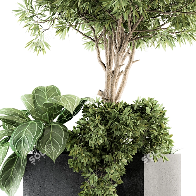 Nature's Oasis: Outdoor Plant Box 3D model image 3