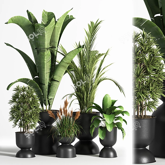 Sleek Indoor Plant Set 06 3D model image 1