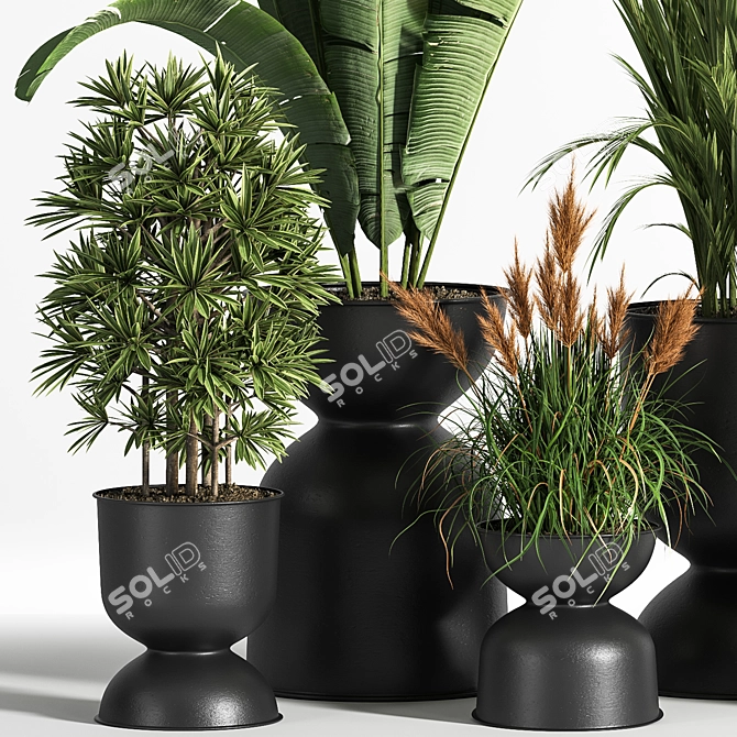 Sleek Indoor Plant Set 06 3D model image 3