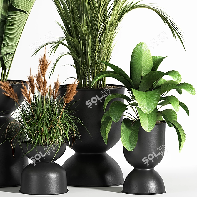 Sleek Indoor Plant Set 06 3D model image 4