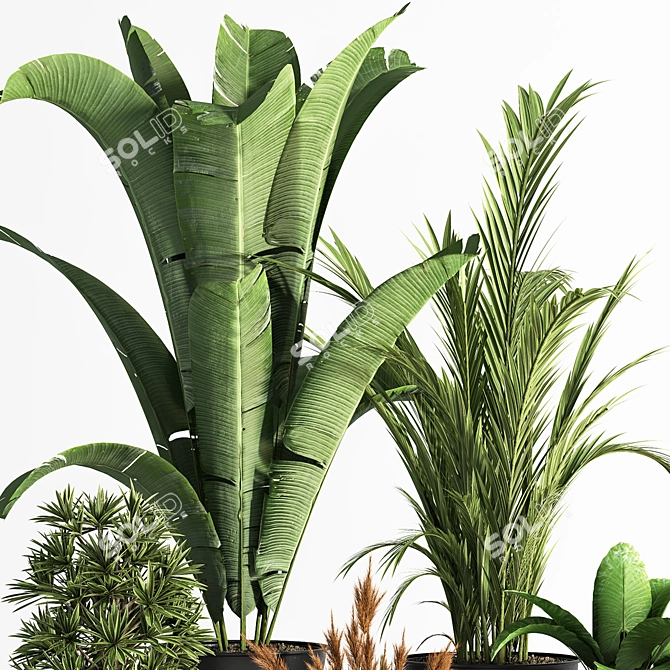 Sleek Indoor Plant Set 06 3D model image 5