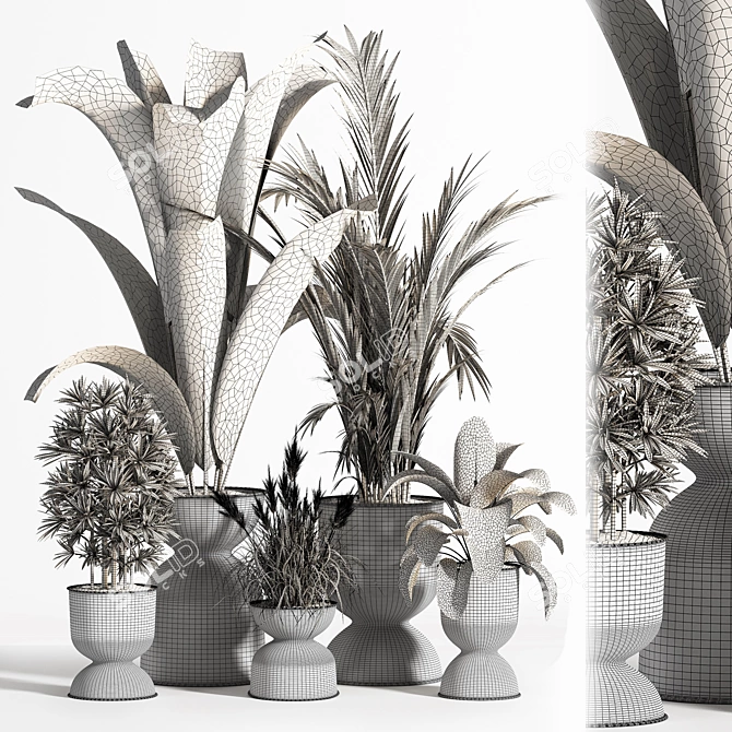Sleek Indoor Plant Set 06 3D model image 6