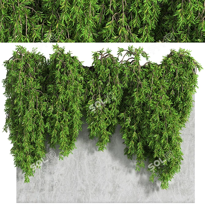 3D Ivy Wall Decor with Multiple Formats 3D model image 1