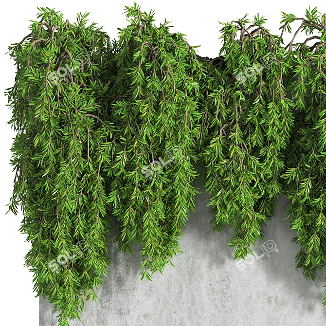 3D Ivy Wall Decor with Multiple Formats 3D model image 3