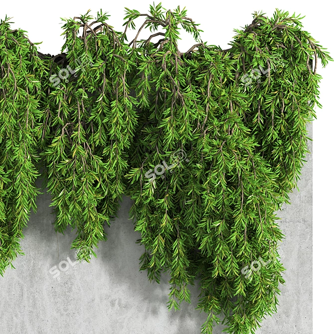 3D Ivy Wall Decor with Multiple Formats 3D model image 4