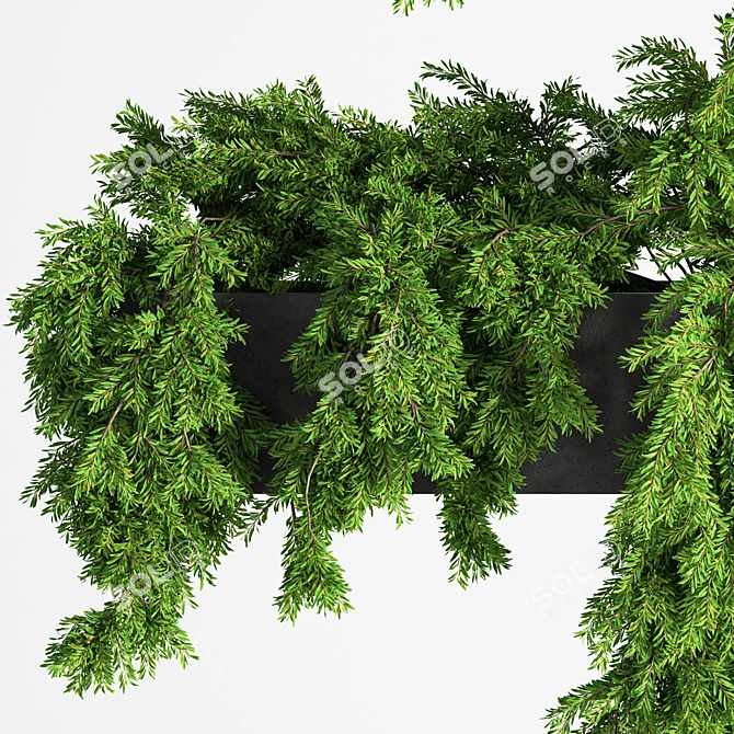 Elevate your garden with Hanging Plant Planter Box 3D model image 5