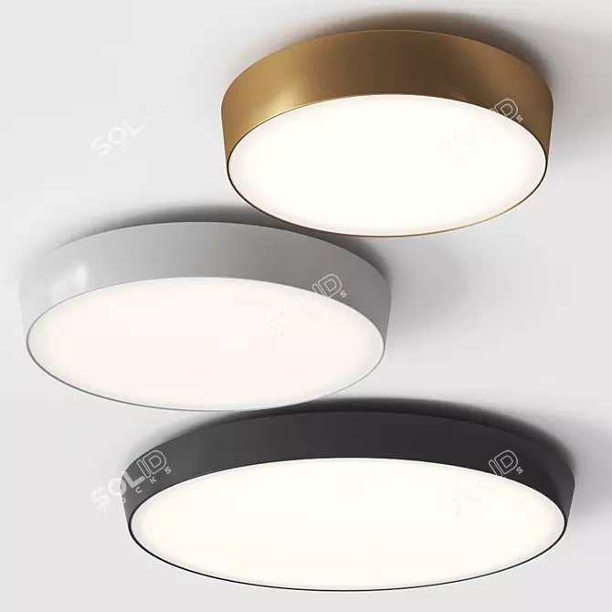 Schätti CIRCULAR C: Stylish Ceiling Light 3D model image 1