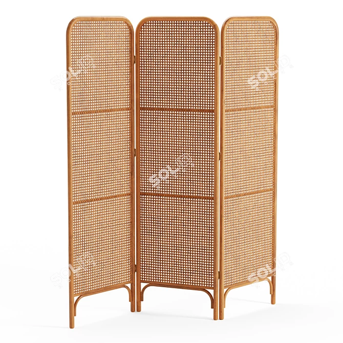 Ria Rattan Room Divider: Boho-Inspired and Functional 3D model image 1