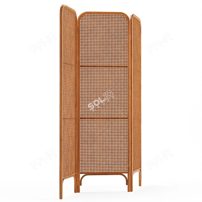 Ria Rattan Room Divider: Boho-Inspired and Functional 3D model image 3