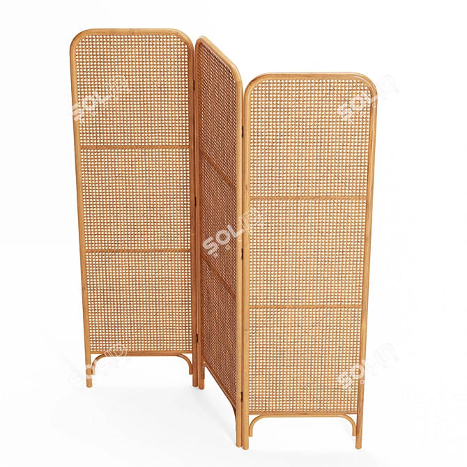 Ria Rattan Room Divider: Boho-Inspired and Functional 3D model image 4