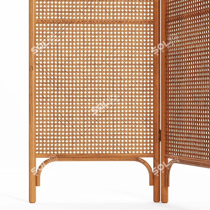 Ria Rattan Room Divider: Boho-Inspired and Functional 3D model image 5