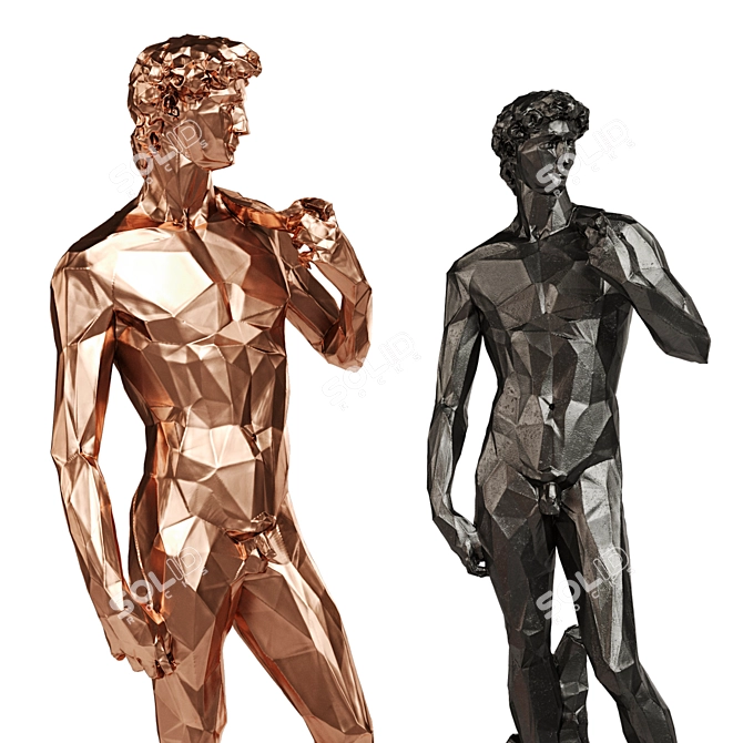 Copper Black Tall-Edged David 3D model image 2